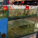 Welcome | 코타키나발루 맛집 웰컴 시푸드 (Welcome Seafood Restaurant) 내돈내산 솔직후기