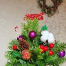 12/9 크리스마스 테라리움 이미지