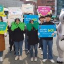 한국 청소년적십자 이미지