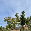 GS25덕진광장점 이미지