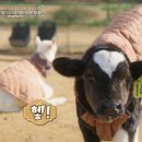 장훈목장 이미지