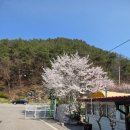 원주두리캠핑장 | 강원도오토캠핑 원주두리캠핑장 자연 속 힐링 캠핑 후기🏕️