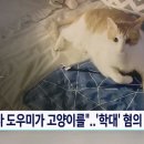 가사도우미가 고양이 학대 이미지