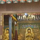 고지리 | [경북 영천] 영천 만불사 방문 후기｜대구 가는 길에 들려본 사찰.