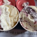 토마토앤김밥 이미지