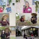 양혜진 카카오 검색결과