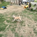 푼타하우스