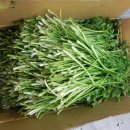 원생대구탕 이미지