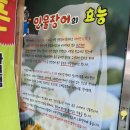 산청 장어 맛집 억조장어구이 현지인이 인정한 민물장어