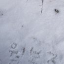 월봉중학교 이미지