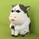 다올구내식당