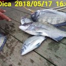 해성펜션 이미지