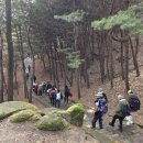 난타포시즌