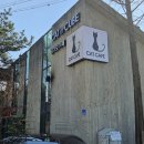 캣인큐브 이미지