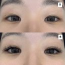 그리다네일 - 시흥시 배곧4로 32-13 | [중랑구/망우] 네일그리다 속눈썹 연장 후기