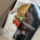 투투 동물병원 | 강아지 알러지사료 추천 딩고나투라 피쉬앤라이스 미니 피쉬앤베지스 습식사료