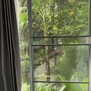 블리스데이(Bliss Day) | 2025 Chiang Mai Day 4 : 애니블리스 요가, 댄카우만까이, rubber killer, joost, 빈티지쇼핑, 블루누들...