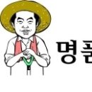 주원염전 네이버블로그