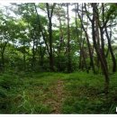 갓골가든 이미지