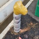 당진제일주유소 이미지