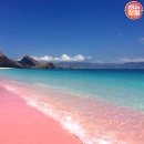 핑크비치 이미지