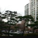 분당114공인중개사사무소 이미지
