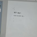 6월 (2) 직장인 일상/ 분당 수내 철판요리 페삭/ 2박3일 부모님과 제주 여행