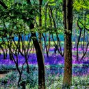 태화강 철새공원 이미지