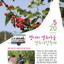 명지리앵두마을 이미지