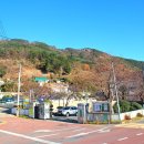 외포초교 뒤 이미지