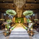 둔산중로-8 이미지