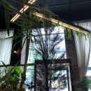 시즌파이브 이미지