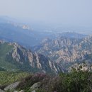 나무그늘의 작은집 작은세상 이미지