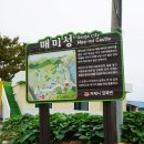 매미성 주차장 이미지