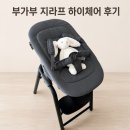 세탁나라 - 속초시 교동로 49 | 부가부 지라프 하이체어 블랙 뉴본 세트 세탁 내돈내산 후기