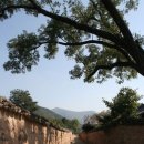 반촌1리 | [스크랩] 남평문씨 세거지