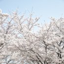 반월놀이공원 이미지