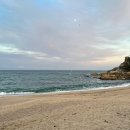 비치진 펜션 이미지