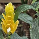 행정사감병기사무소 이미지