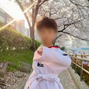 용인대무궁화태권도