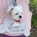 페피만찬 | 5월 1/2 항해일지