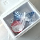 낙지젓갈 25년 전통 노하우로 만든 곰소황해젓갈