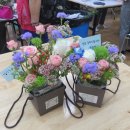 양재1동 주민센터 이미지