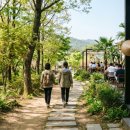 금천건기 | 💎 [5월 연휴 완벽 가이드] 국내외 축제 명소부터 황치즈 디저트 맛집까지 총정리