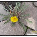 주식회사 다윈 이미지