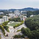 뽑고뽑고 이미지