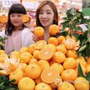 돌빌레 연합뉴스
