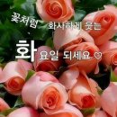 밤 열차 가수 이산이 이미지