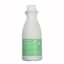 그린트리 이미지