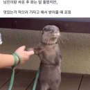 카페1992 이미지